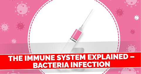 The Immune System Explained – Bacteria Infection