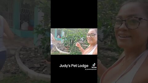 Picking up my dogs at Judy's Pet Lodge. Sousa, Dominican Republic