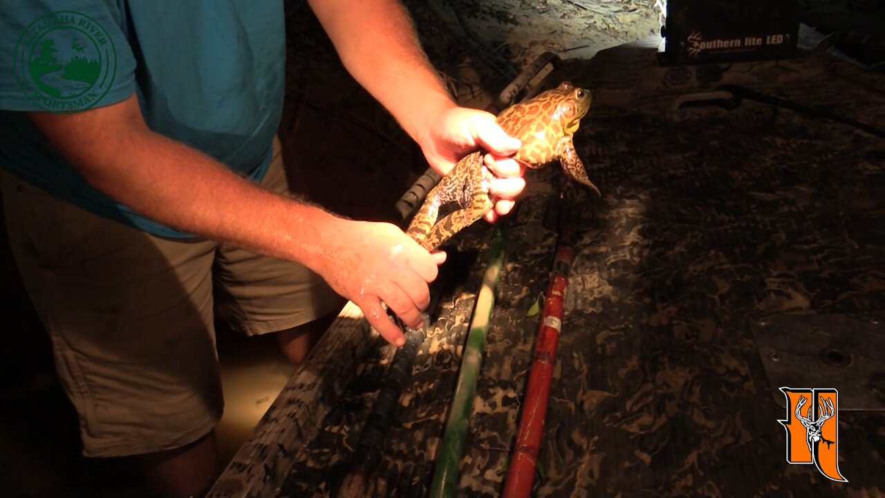 Season 3, Ep. 6: Frog Gigging | Altamaha River Sportsman