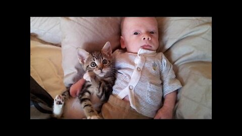 Cats Meeting Babies for the FIRST Time (epic reaction😍)