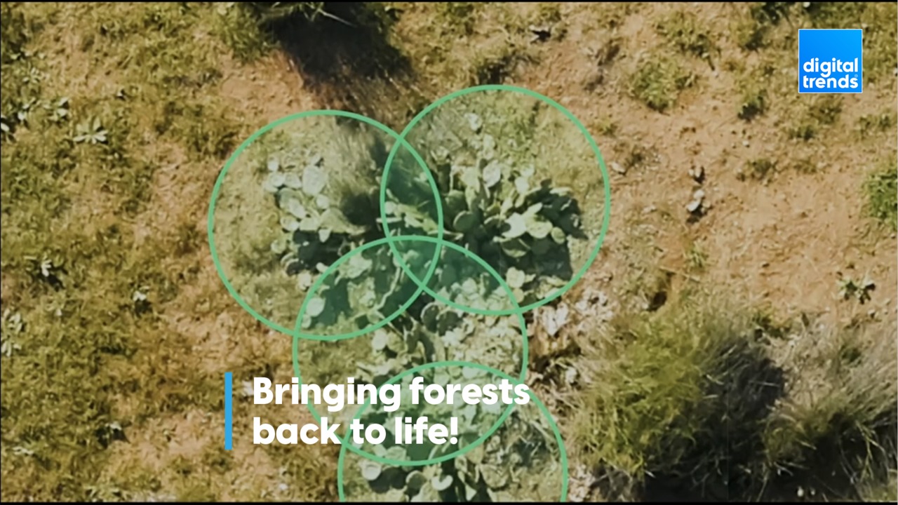 Bringing forests back to life!