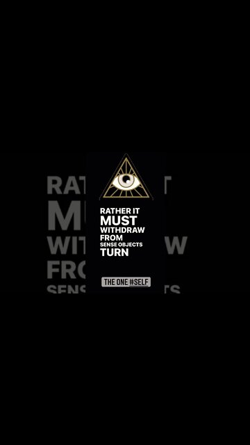 The One #self #oneness #collectiveconsciousness