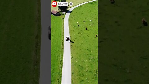 Satisfying video with relaxing music🍀:#short #shortsvideo