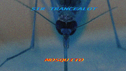 Sir Trancealot - Mosquito