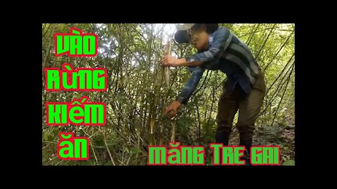 go to the forest to eat bamboo shoots at the end of the wild season sang89 vlog