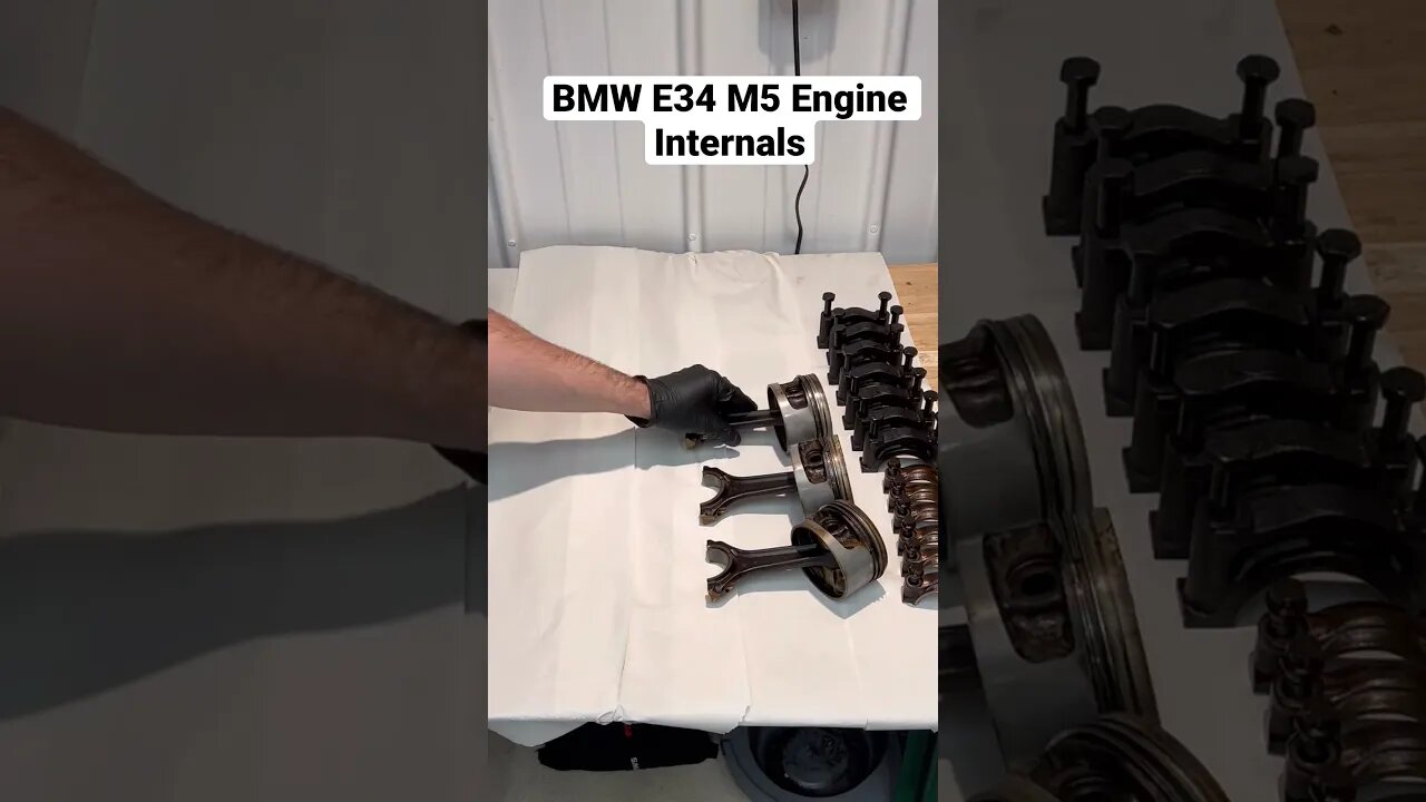 BMW E34 M5 Engine Internals #shorts #bmw #cars #automotive #diy #bmwe34 #bmwm5