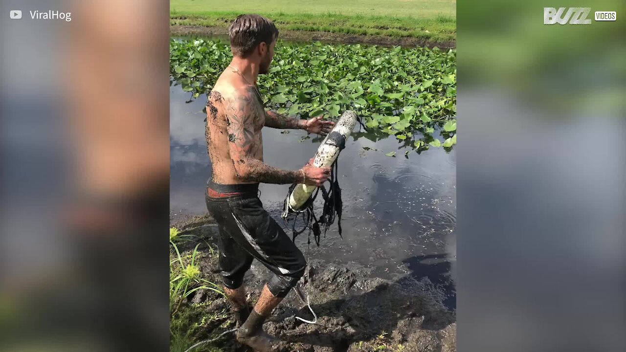 Cet homme se transforme en nageur-sauveteur pour libérer un oiseau pris au piège dans la boue