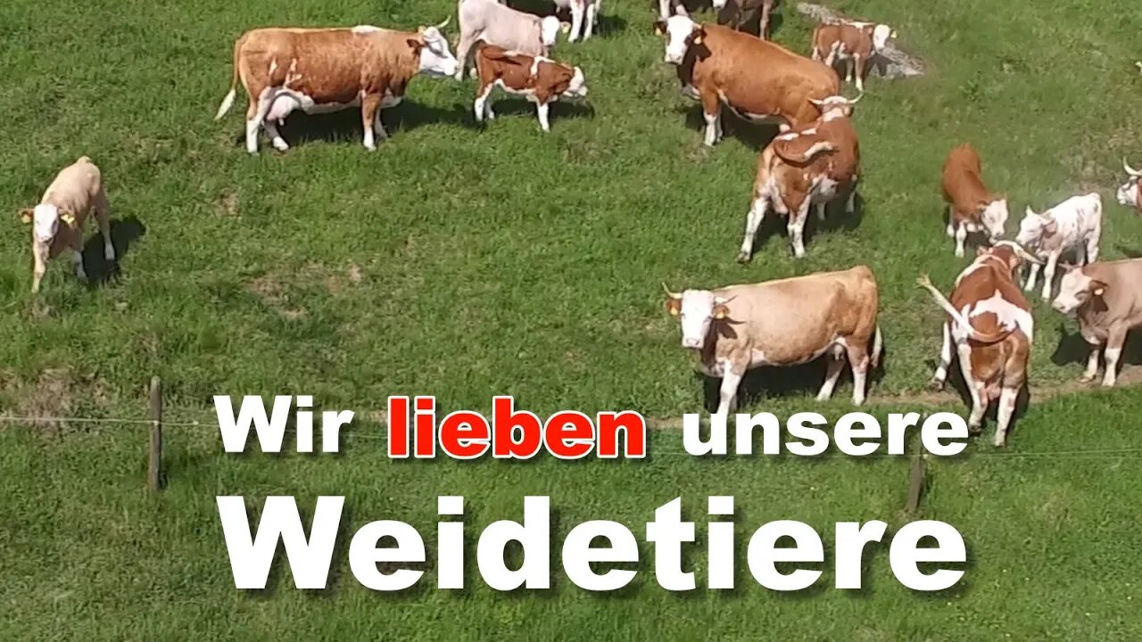 Wir lieben unsere Weidetiere 5