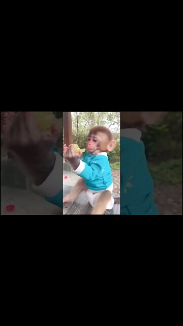 Most Amazing and trending video||relaxing your mind||trendig videos|| #shorts #trending #viral #live