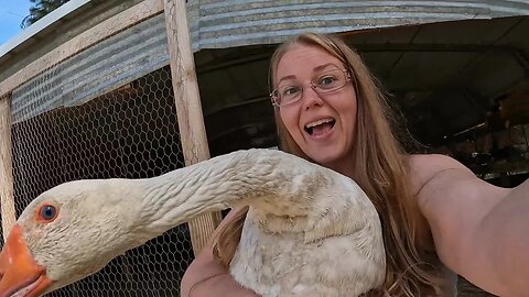 From Her Perspective. (Homesteading Mama)