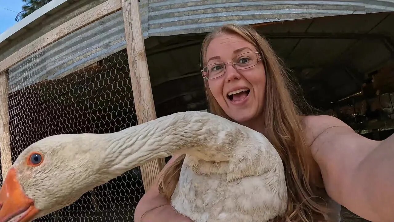 From Her Perspective. (Homesteading Mama)