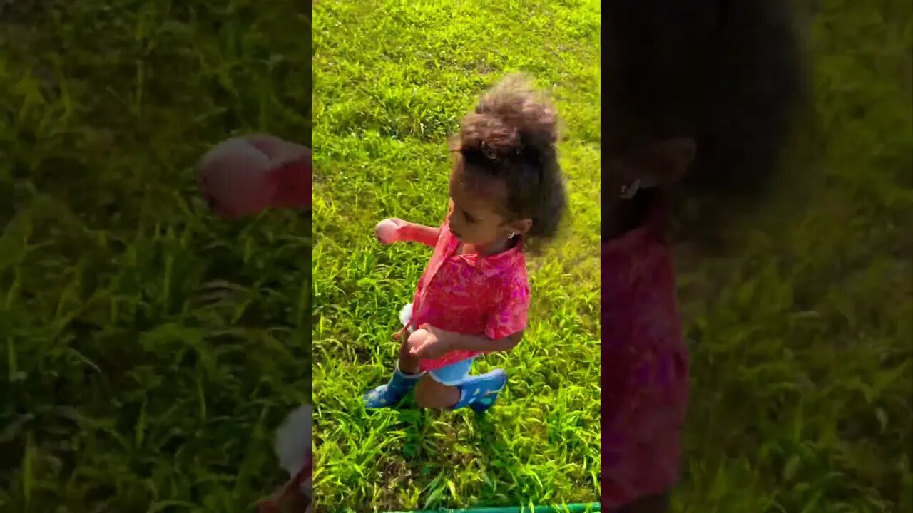 Singing & collecting Eggs #toddlerlife #farmlife #cuteness #chickens #eggs #foryou #homestead #short