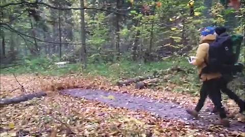 Drone doubles as leaf blower, clears away perfect path