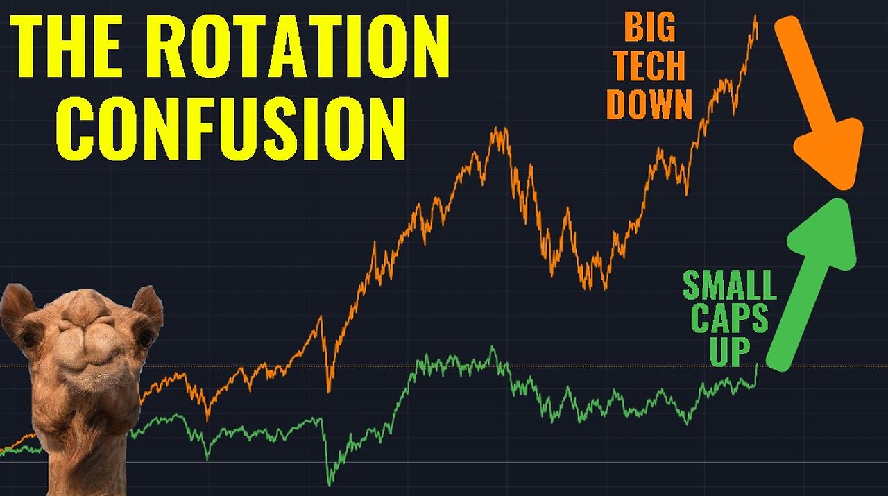 The Great Market Confusion