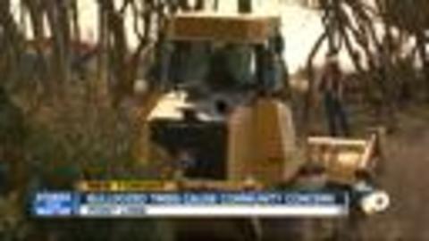 Bulldozed trees cause community concern