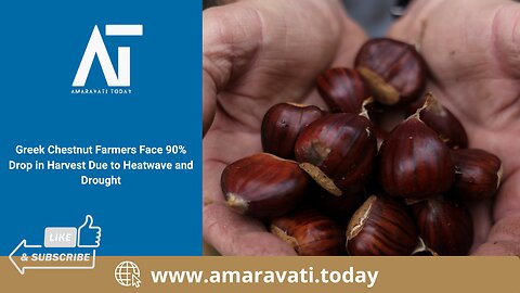 Greek Chestnut Farmers Face 90% Drop in Harvest Due to Heatwave and Drought | Amaravati Today