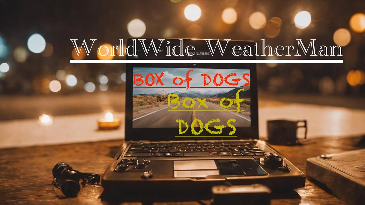 BoxOfDogs#56 - WorldWide WeatherMan