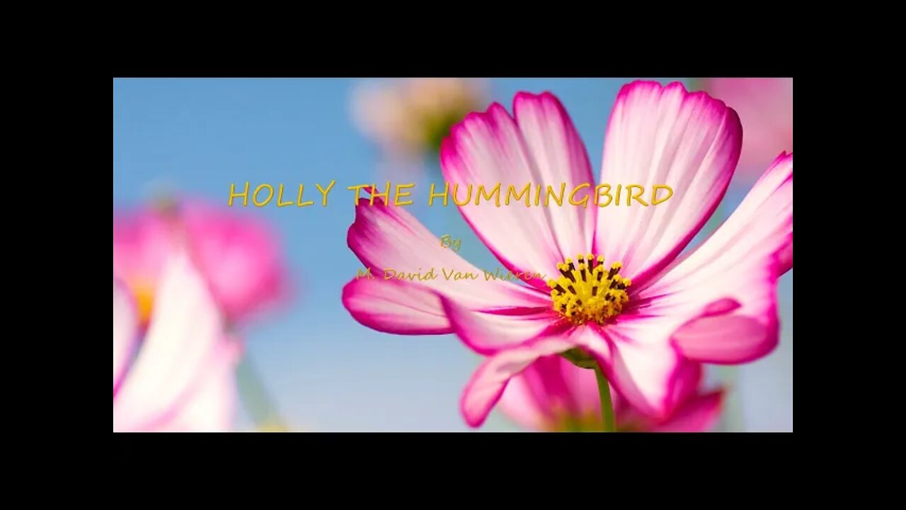 HOLLY THE HUMMINGBIRD book and song by David Van Wieren