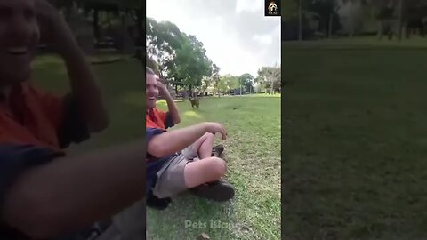 🤣🐶 Funny dogs funniest moments shorts #30 🐕😂 | Funny animal videos 2023