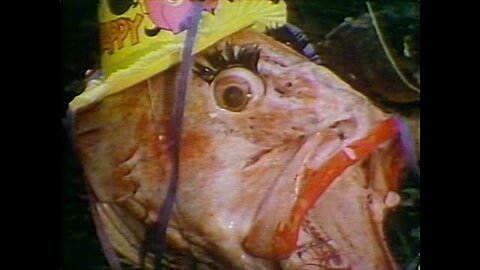 Fish Heads - Barnes and Barnes - featured on SNL if I remember...