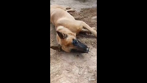 maa maa hote haa