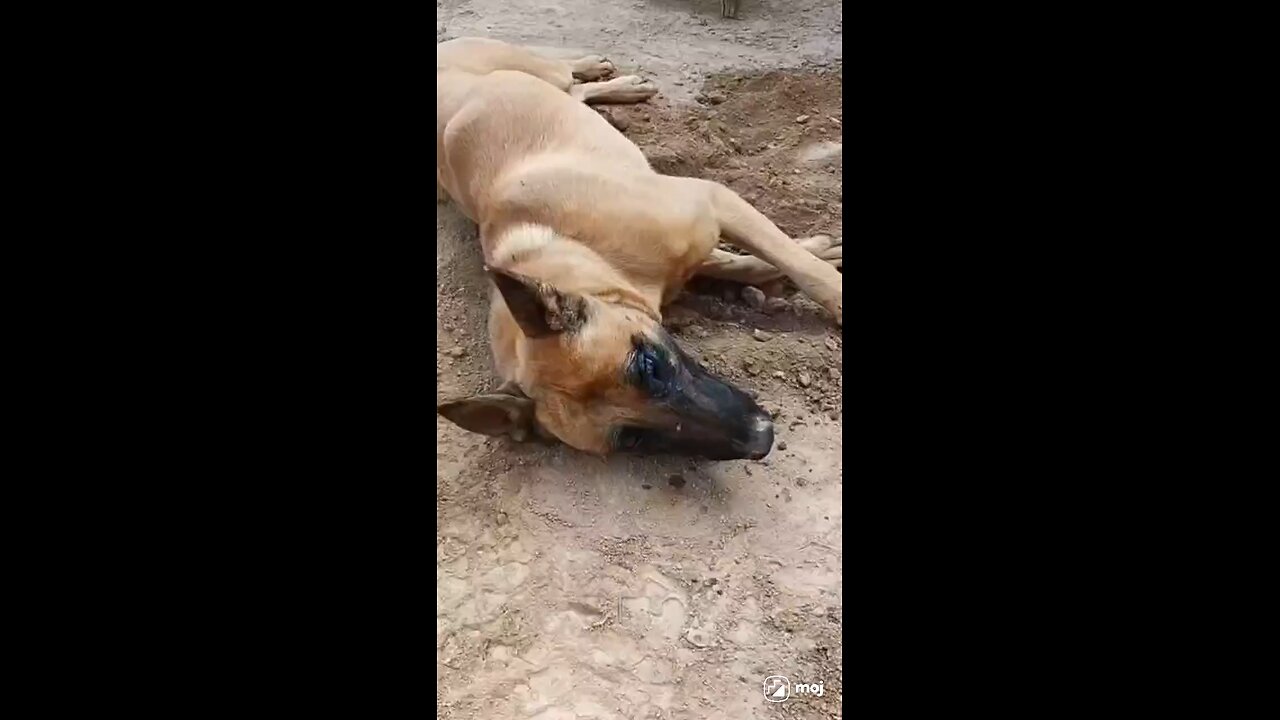 maa maa hote haa