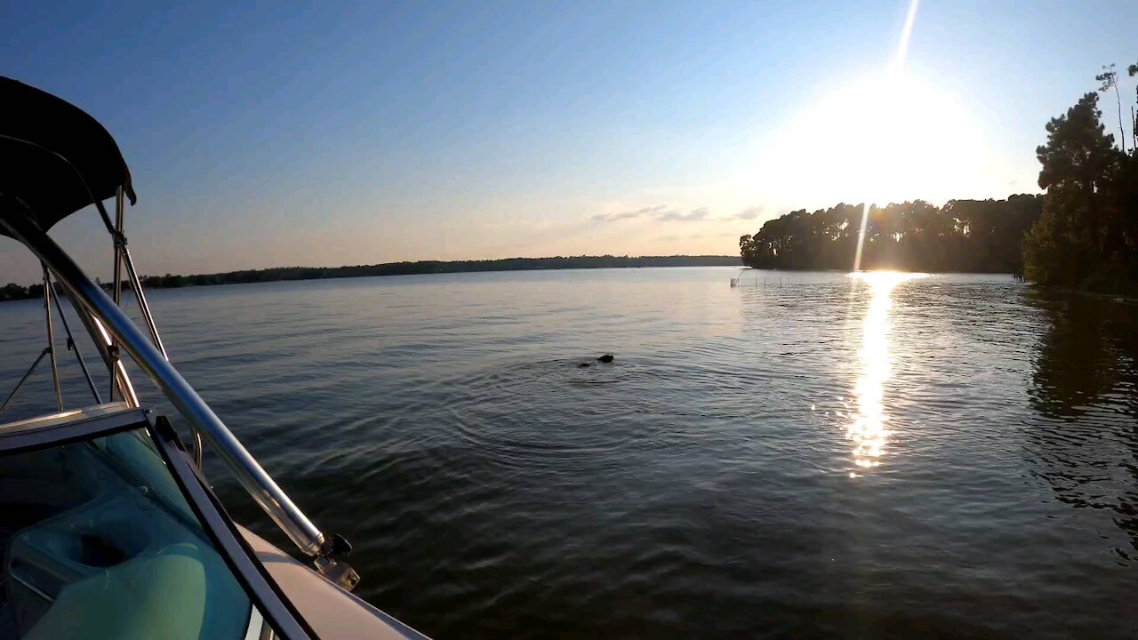 Moss and Finley - Lake Conroe TX