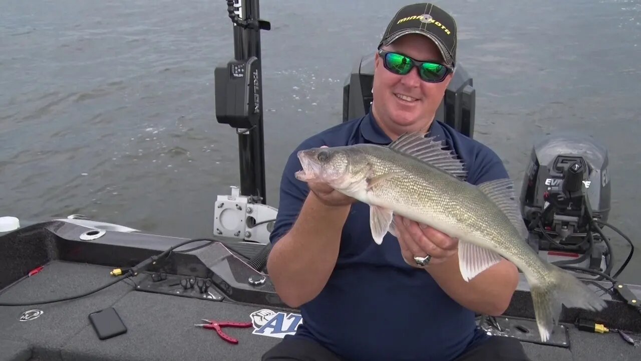 Downrigger walleye on Lake of the Woods