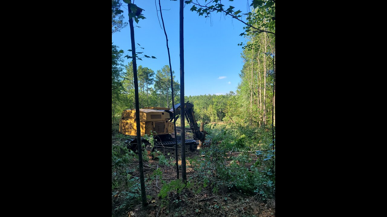 Logging the Uwharries Tigercat L855D track buncher