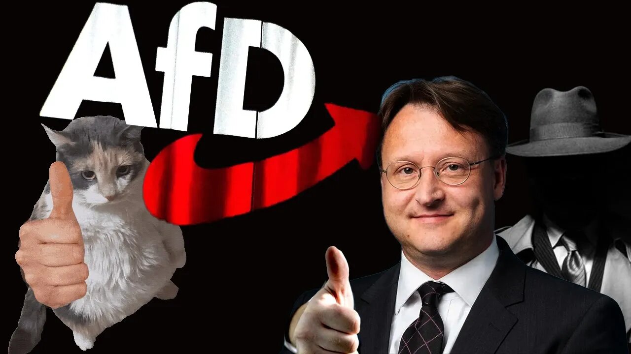 AfD: Was ist das Erfolgskonzept?