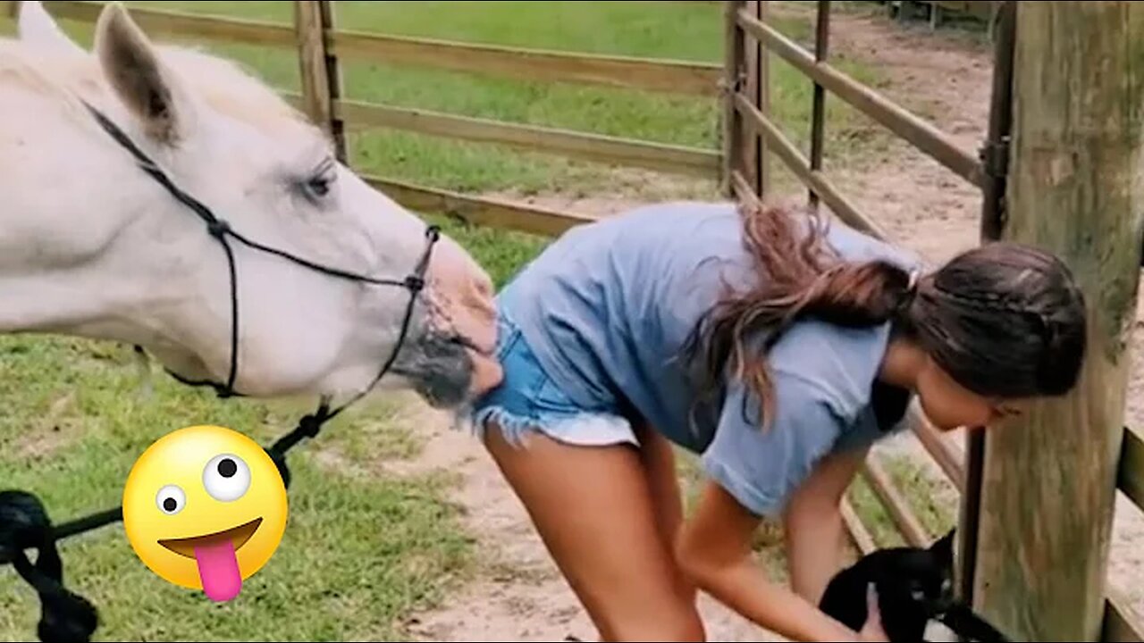 FUNNIEST Farm Animals! 😂 | Best Videos for families