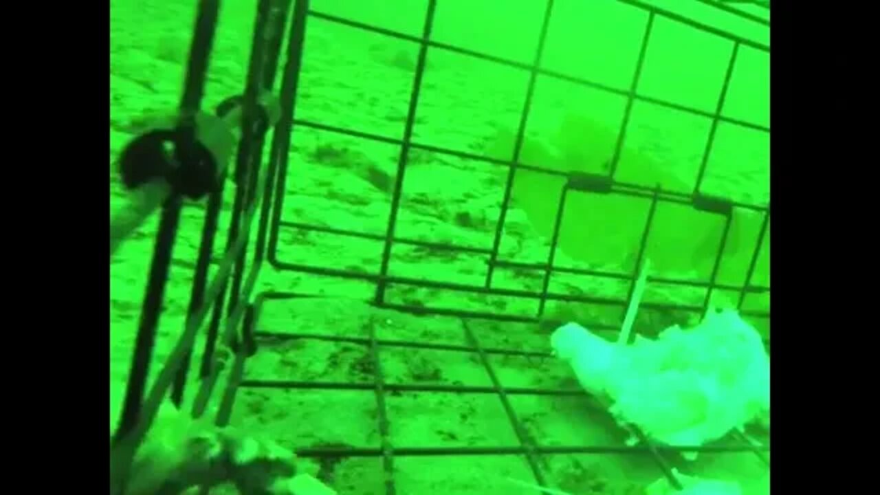 Underwater footage of a crab trap at 90ft