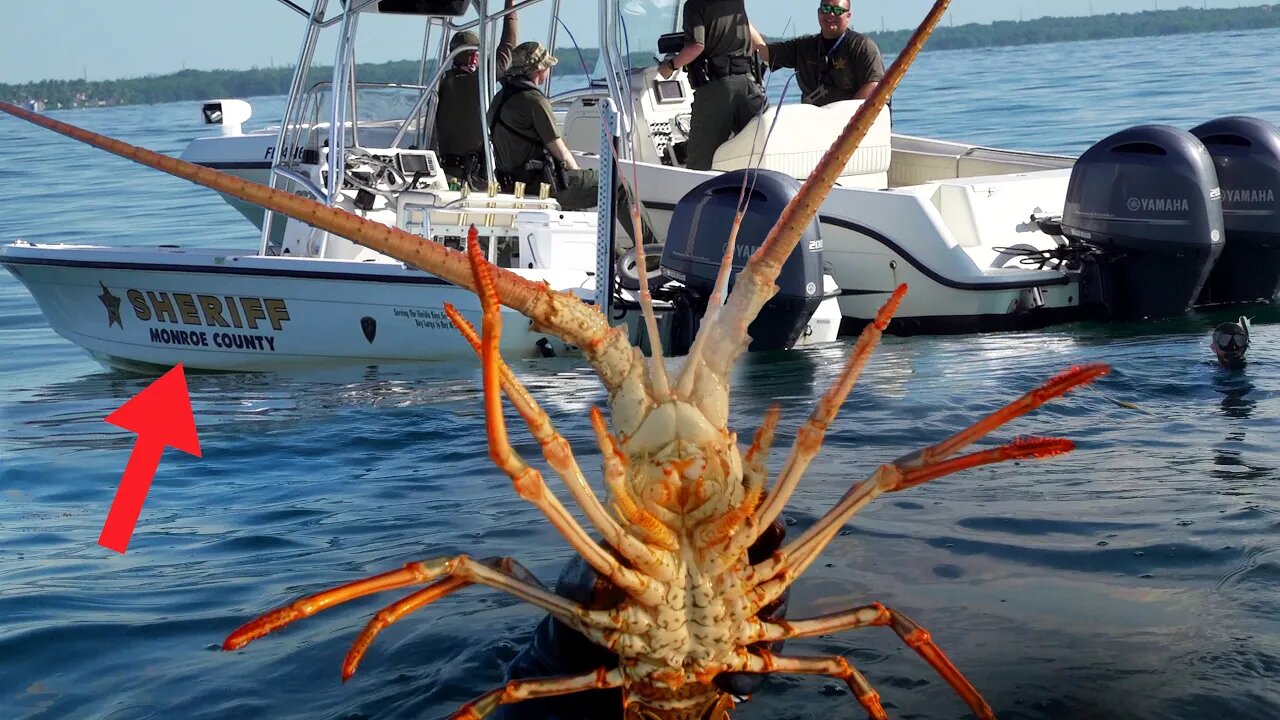 3rd year in a row Law Enforcement stops me catching crabs