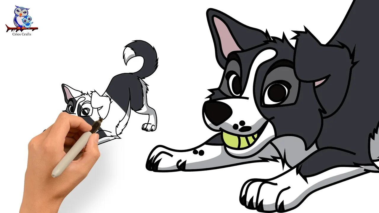 How to Draw a Cartoon Dog (Border Collie) - Step by Step