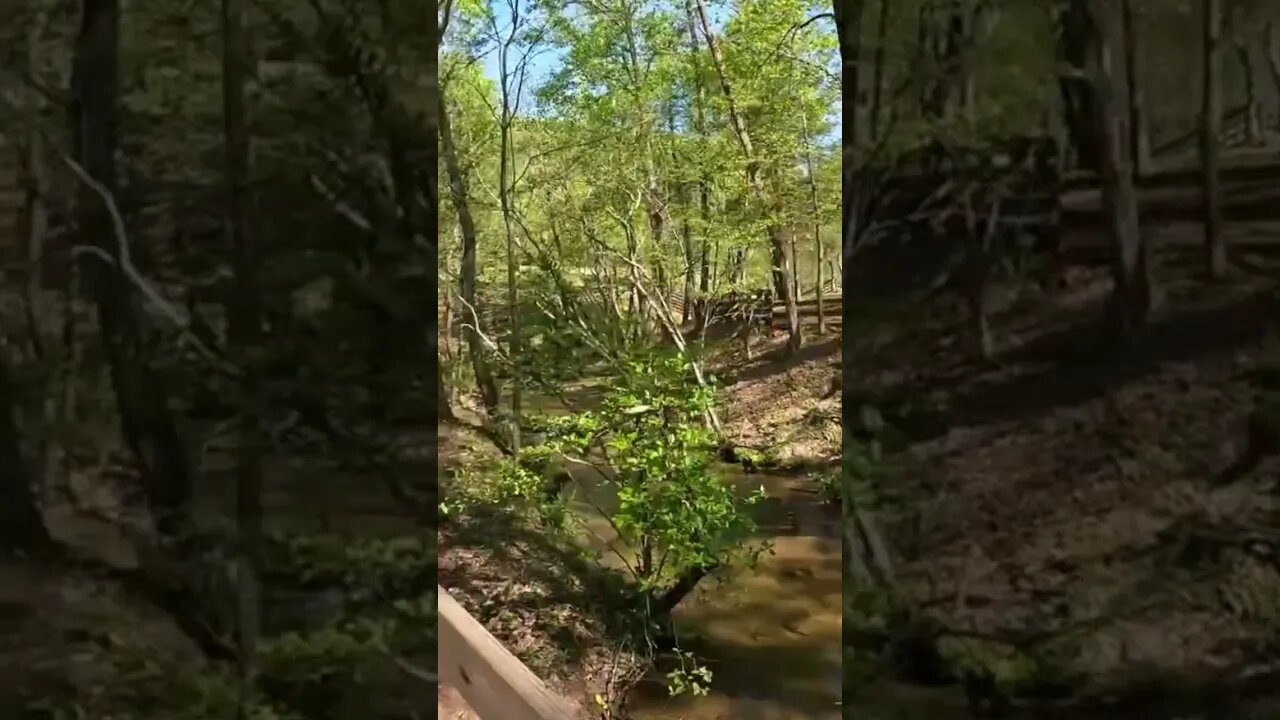 425 steps to the top of the waterfall!