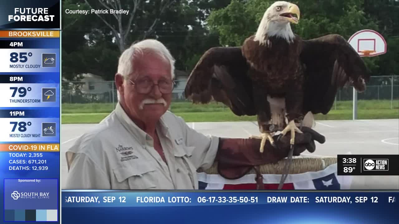 Birds of prey providing therapy for veterans with PTSD