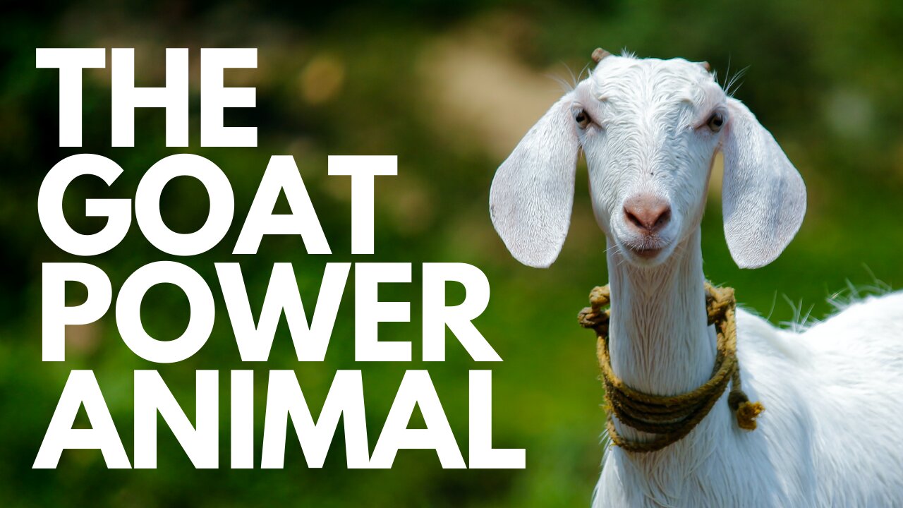 The Goat Power Animal