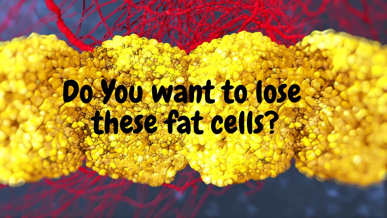 Do You want to lose these holiday fat cells?