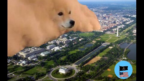 State of Zeal: In DOGE We Trust?