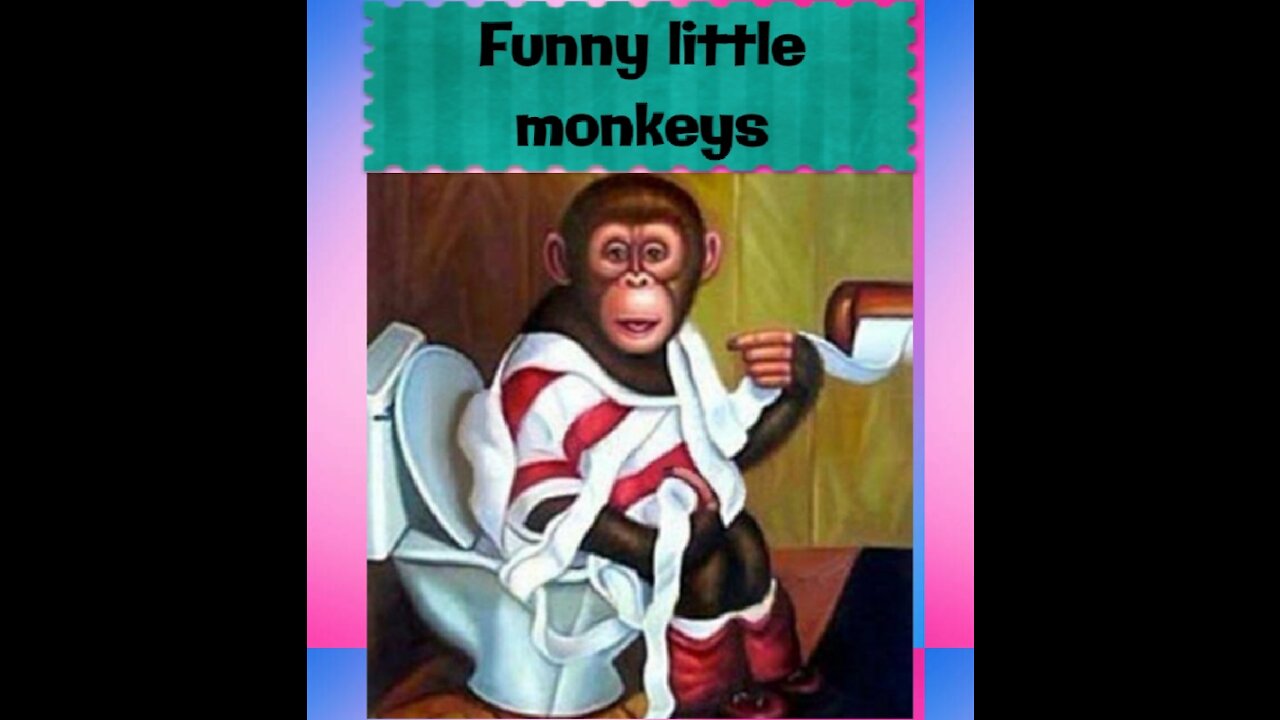 funny little monkeys