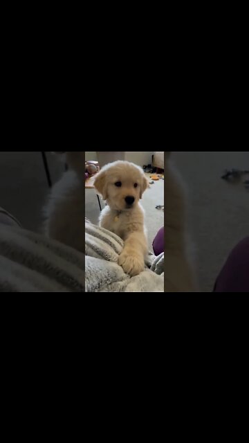 Do you have " TRUST " issue ? , # short