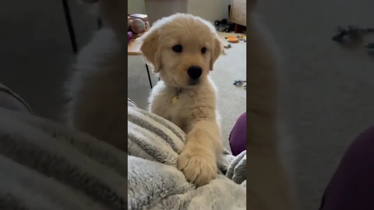 Do you have " TRUST " issue ? , # short