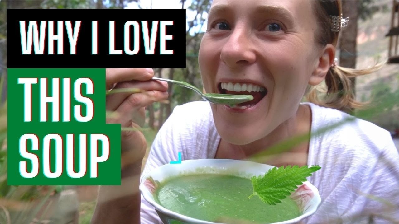 Delicious & Nutritious: My Favorite Nettle Soup Recipe