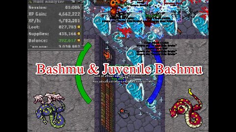 BASHMU LEVEL 450+ (Mage's & Rp) ISSAVI Profit 400k Xp 5kk
