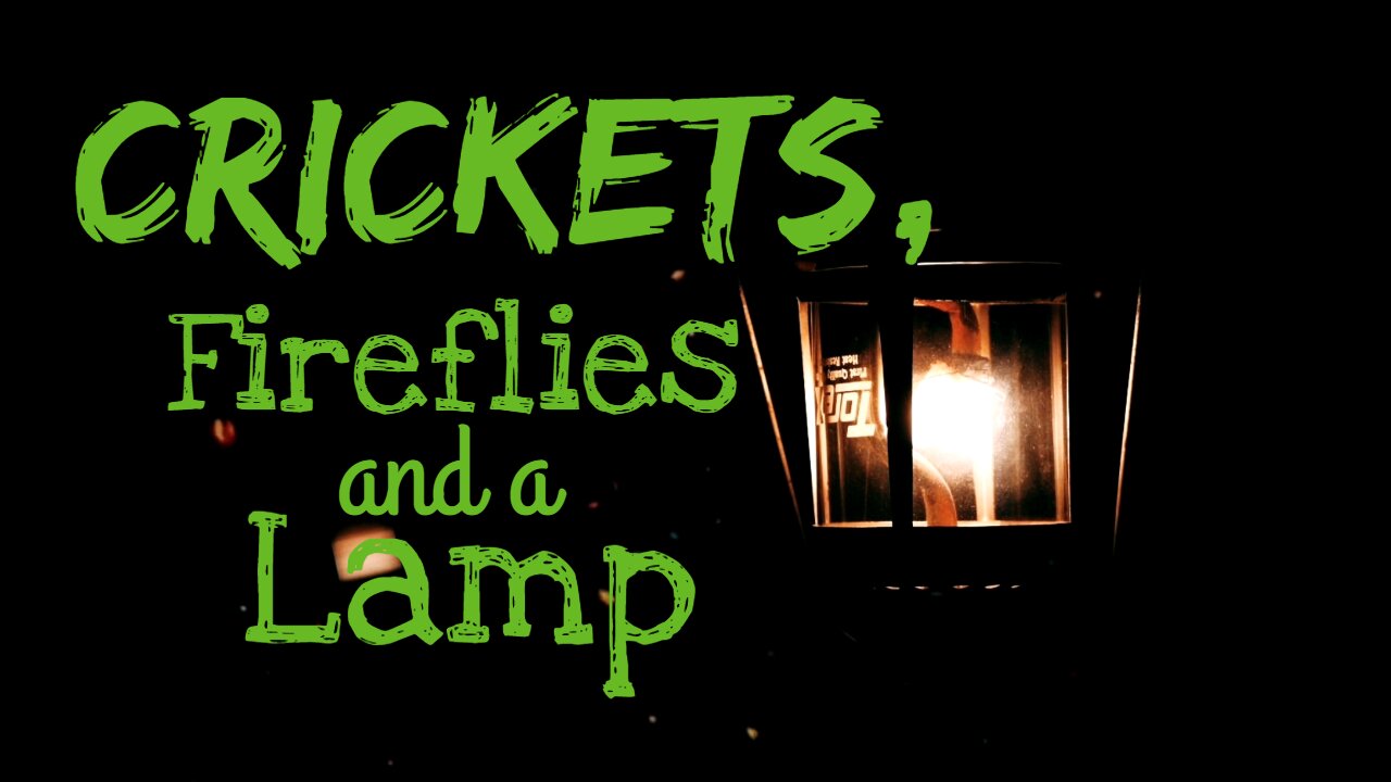 Crickets, Fireflies and a Lamp | Crickets and Light | What Else Is There?