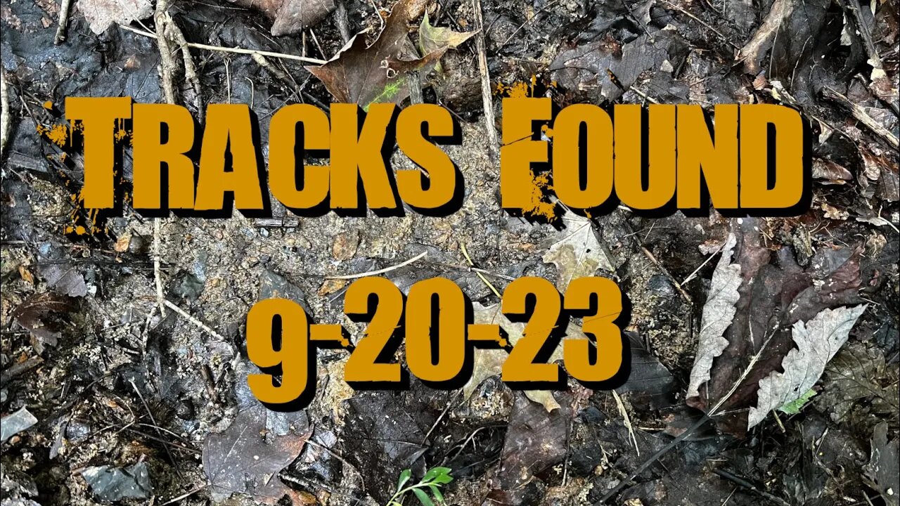 Possible Bigfoot Tracks and More! | 9/20/23