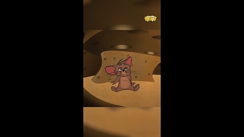 #tomandjerry