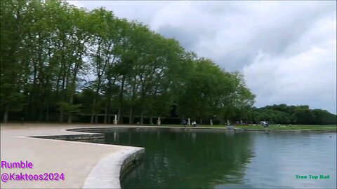 nature beautiful video