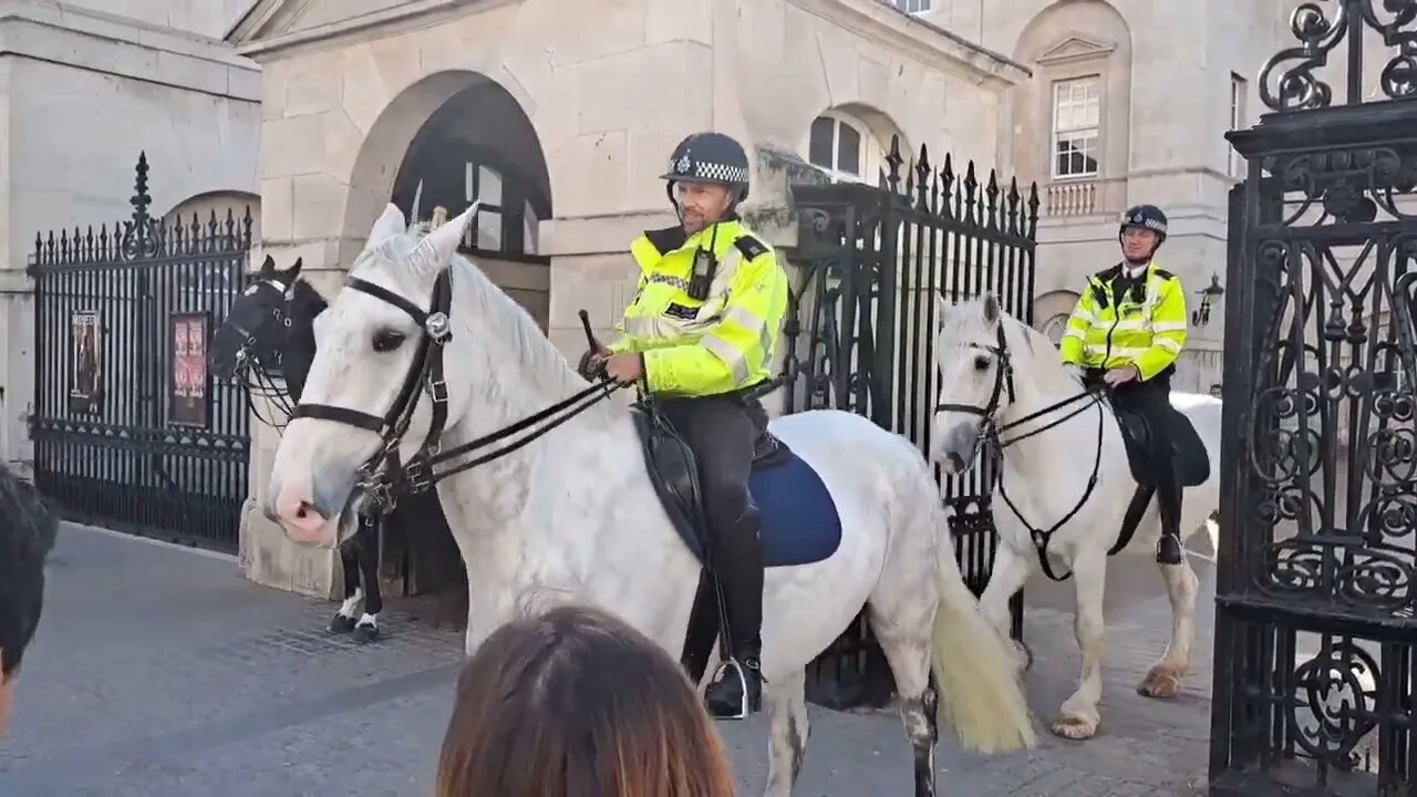 Grey horses #metpolice