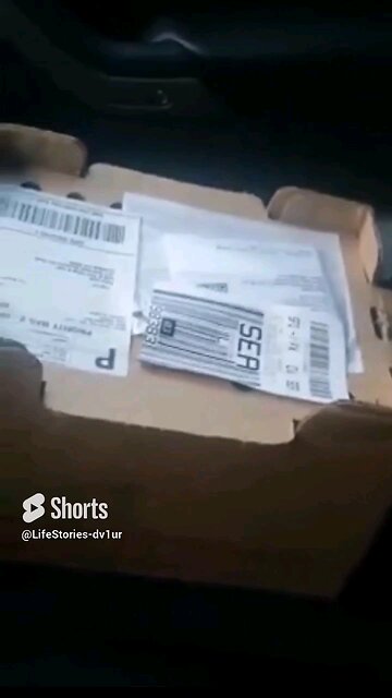 6 new baby girls. #wildlife #babyduck #ducks #duckling #shorts #short